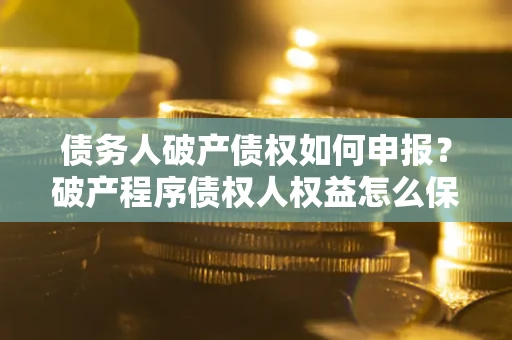 北京债务人破产债权如何申报？破产程序债权人权益怎么保障？