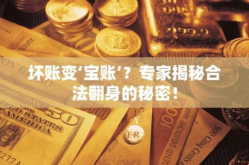 北京坏账变‘宝账’？专家揭秘合法翻身的秘密！