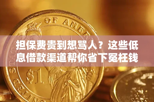北京担保费贵到想骂人？这些低息借款渠道帮你省下冤枉钱