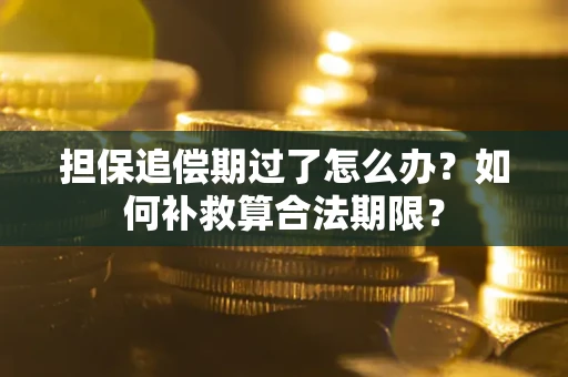 北京担保追偿期过了怎么办？如何补救算合法期限？