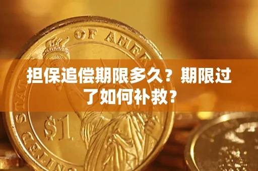 北京担保追偿期限多久？期限过了如何补救？