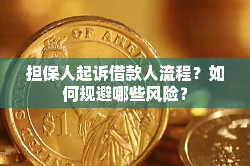 北京担保人起诉借款人流程？如何规避哪些风险？